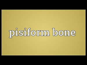 Pisiform bone Meaning