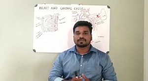 1.4K views · 24 reactions | Heart & Cardiac cycle Plz watch and subscribe our YouTube channel... #Sajithkumar# For more nursing related topics... Online classes for DHA,HAAD,MOH,PROMETRIC & All Central Govt Exams... ph: 8018876215, 7608818341 (call or whatsapp) Video full കാണുന്നതിനായി  https://youtu.be/g81HteCKUS4 | Nursingflix Lectures | Facebook