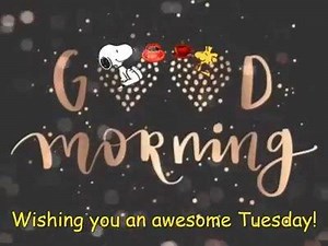 22K views · 941 reactions | ☕ 헚헶헳혀 & 헩헶헱혀 험혁헰 ☕  | Gifs, Vids & Music Etc | Facebook