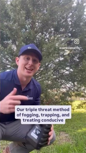 Effective Mosquito Control Dallas