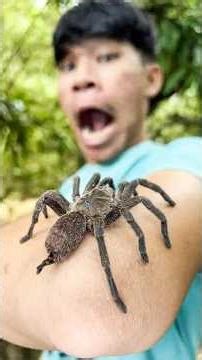 Amazing Pepper Hacks for Survival in the Wild