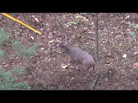 30 Crazy Kill Shots In 6 MINUTES!!! (4k Slow Motion!)