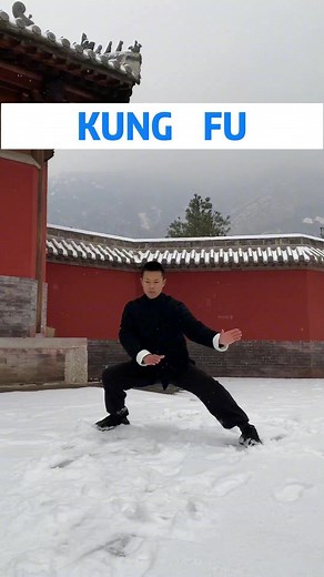 KUNG FU #realchina #China #chinesecultrue #martialarts #shaolin #shaolintemple #wushukungfu #qigong #qigongpractice #traditional #combat #history #culture #forms #weapons #traning #kungfuboy #wingchunkungfu #taichi #selfdefense