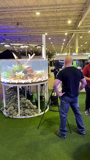 6.3K views · 53 reactions | What would you put in this tank?  Throwback to the Fish Gallery’s MASSIVE 300-gallon cylinder display from our Dallas event!!  | Aquashella Aquarium Festival | Facebook