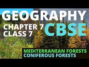 Mediterranean Vegetation and Wildlife, Coniferous Forests, Taiga and Wildlife, Geography CBSE Ch 7