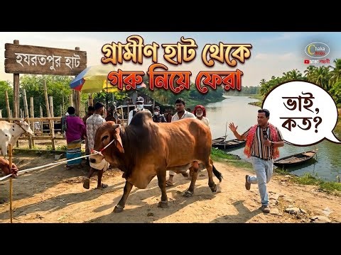 ভাই কত ২০২৬? হযরতপুর হাটে কোরবানির গরু কিনে ক্রেতারা মহা খুশি! Qurbani cow price 226
