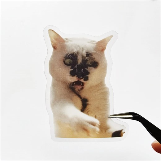 Clear PET Ugly Cat Stickers for Journaling, Waterproof Kitten Decals (scrapbooking) - Etsy