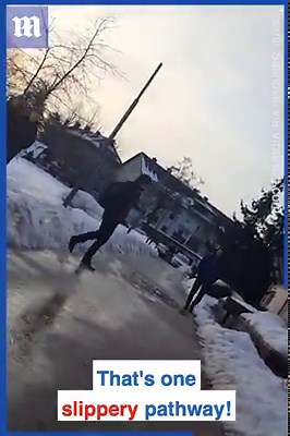 17K views · 32 reactions | It's that time of the year again...略略 via ViralHog | Daily Mail Video | Facebook