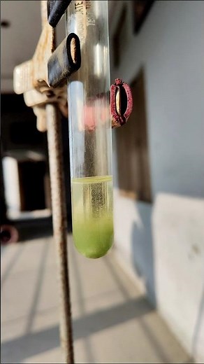 Reaction of element mercury with nitric acid 😱. #youtubeshorts #shorts #experiment