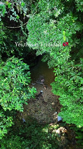 Brasso Seco hits different — cool mountain air, crystal-clear waterfalls, and that peaceful feeling you only get deep in the outdoors. 🌿💧✨ Truly one of Trinidad’s hidden gems. And stay tuned… my full Brasso Seco experience is coming in 2026, featuring the outdoors, the food, the culture, and so much more. 💚