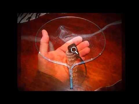 How To Shrimp Florida™ (Winter) - PART 3