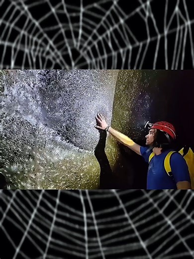 أكبر شبكة عنكبوت في العالم واكتشافات مذهلة