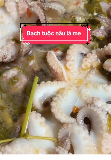 Bạch Tuộc Nhúng Trong Mưa: Trải Nghiệm Mukbang Đầy Thú Vị