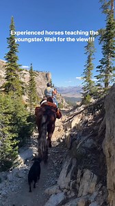Young Tuk Tuk on a 19 mile ride in the Sawtooth Wilderness. This loop was out of the Tin Cup trailhead in Ketchum Idaho. Our experienced and reliable trail horses were in front and behind Tuk Tuk to give confidence. I gave him time to look at the bridge and have a moment to get mentally ready. Then the bridge crossing was uneventful. Wait for the view at the end!! #trailhorse #scoutstrail #mustanghorse #rescuedismyfavoritebreed #barefoothorse #scootboots #bitless #horsetrainerlife #horsetraining