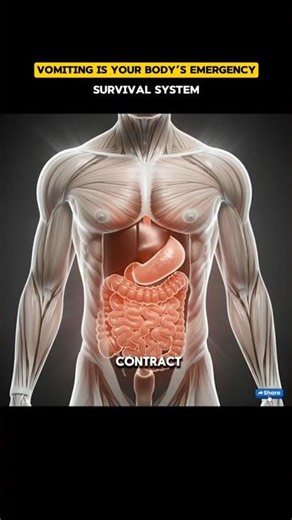 “Vomiting Is Your Body’s Emergency Survival System” #unitedstates #english