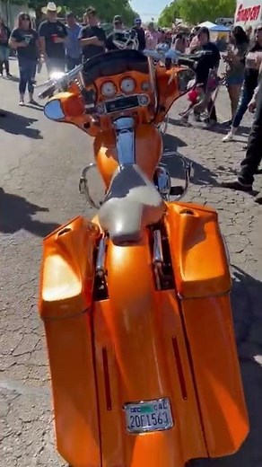 Red Fox Baggers 6" down and 9" out bagger