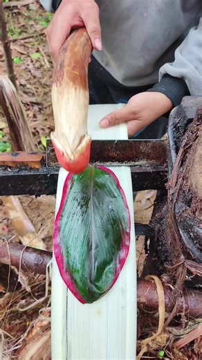 Gimproks (@gimproks)’s videos with original sound - Gimproks