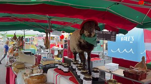 Montalivet | Marché, Naturisme, Fin des vacances d'été | Aquitaine 24 Télévision