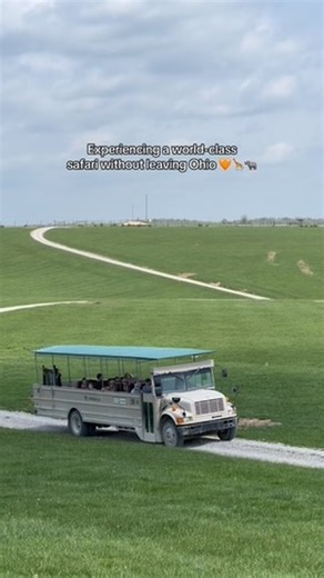 This summer, experience wildlife unlike ever before with an Open-Air Safari at The Wilds! 🧡🦏 Open-Air Safaris, presented by @gjpepsi, are perfect for gaining a beginner’s perspective on the animals that call The Wilds home, with sunrise, sunset, and mid-day excursions occurring on the regular. From rhinos to giraffe, Père David’s deer and more, there’s so many exciting species to discover and learn more about on this exciting tour! | The Wilds