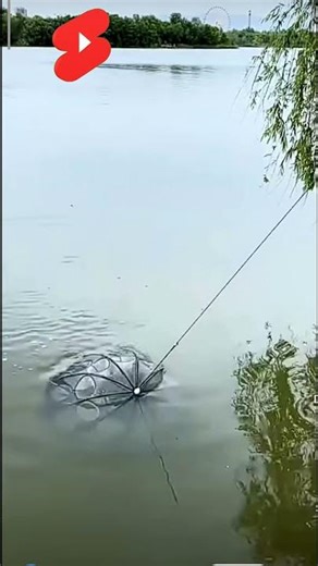Fishing By Umbrella #fishing #umbrella #fish #shortsfeed #shorts #viralvideo