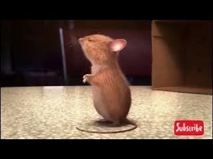 The Box (La Boîte)-CGI Animated Short Film