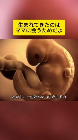 赤ちゃんの成長と人体の神秘