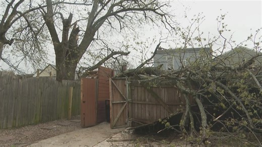 Tree crushes part of bar after strong storms in Louisville