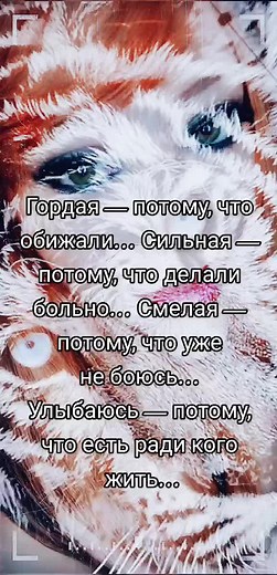 Победа on TikTok