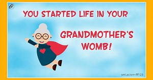 You Started Life in Your Grandmother's Womb! | Small Acorn