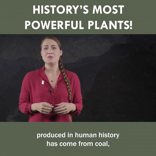 History's Most Powerful Plants! 🌱 | Eons • PBS
