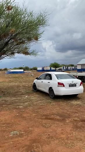 Sunday Edition💙🤍#postola_ke_lehae_laka #fypシ゚viral🖤tiktok #diphala @felicia. @Yvette🩷 @Petunia @Siphesihle Dube