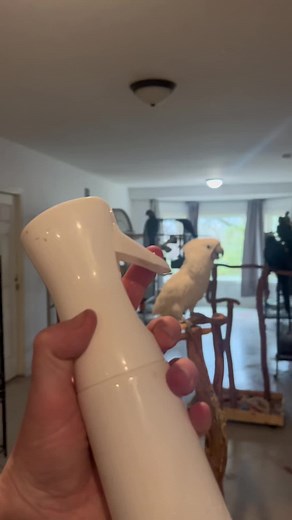 Bird Bathing Mister for Happy Parrots