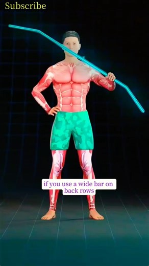 Wide Grip Back Rows: How a Wide Bar Changes Your Back Muscle Activation