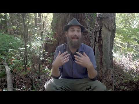 Entity Attachments 101