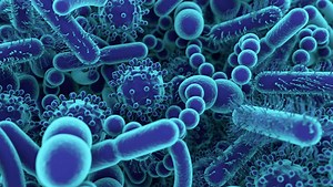 Microbiome in Health & Disease | King's College London