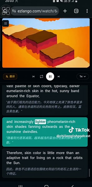Shadowing English: The Science of Skin Color - TED-Ed Practice