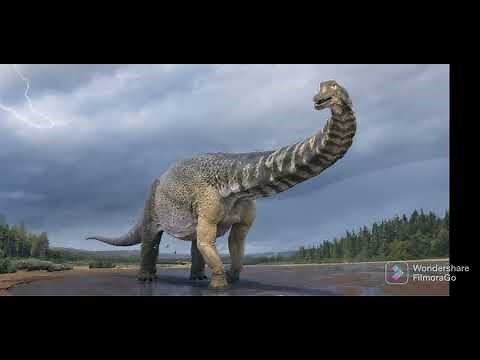 BRONTOSAURUS *EXPLAINED*