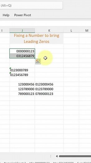 Show Leading zeros using formatting in numbers