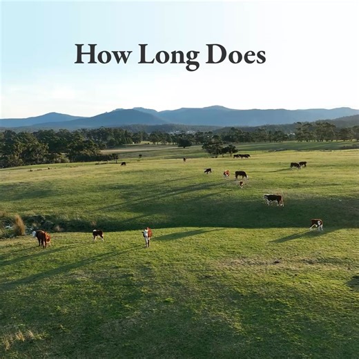 Do you know what you’ll need to retire comfortably? Investors with $1 million or more, download “The 15-Minute Retirement Plan” for answers to your retirement questions. | Fisher Investments