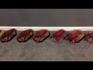 lakewi44’s Singing fish Collection Update (4-19-19)