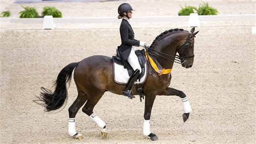 Bordeaux – the ‘magnificent’ KWPN dressage stallion behind a wave of champions