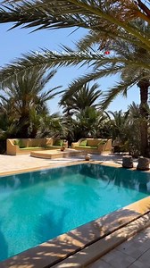 POV : This is TUNISIA 🤷‍♂️🇹🇳 ♡ㅤ ❍ㅤ ⎙ㅤ ⌲ ˡᶦᵏᵉ ᶜᵒᵐᵐᵉⁿᵗ ˢᵃᵛᵉ ˢʰᵃʳᵉ ========================== 📸 : @hamzajr___ 📍 : Tunisia 🇹🇳🌶❤️ ========================== • 🏷 𝑇𝑎𝑔 𝑠𝑜𝑚𝑒𝑜𝑛𝑒 𝑦𝑜𝑢 𝑤𝑜𝑢𝑙𝑑 𝑙𝑜𝑣𝑒 𝑡𝑜 𝑣𝑖𝑠𝑖𝑡 𝑖𝑡 𝑤𝑖𝑡ℎ👇 • 𝑅𝑒𝑚𝑒𝑚𝑏𝑒𝑟 𝑡𝑜 𝑡𝑎𝑔 𝑢𝑠 𝑜𝑟 𝑢𝑠𝑒 #this_is_tunisia__ 𝑓𝑜𝑟 𝑦𝑜𝑢𝑟 𝑐ℎ𝑎𝑛𝑐𝑒 𝑡𝑜 𝑏𝑒 𝐹𝐸𝐴𝑇𝑈𝑅𝐸𝐷 ! 🌿 ========================== #tunisia #tunimoments #oldtown #medina #tunisianstreets #tunisialik #mosquee #visittunisia #sunnyday 