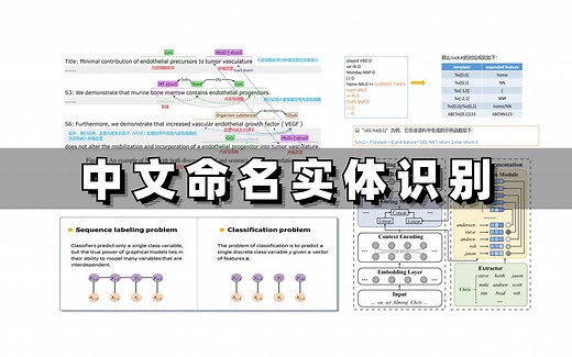 强推！目前B站最适合新手的【中文命名实体识别】教程，基于BERT模型实战，NLP自然语言处理进阶重点，全是干货！！！（中文命名实体识别实战/人工智能课程）
