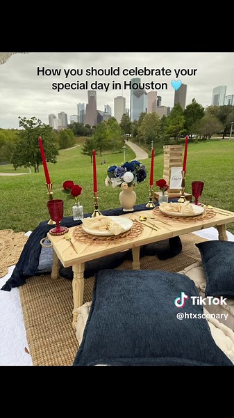 Birthday picnic in Houston 🧺 ! #houston #buffalobayoupark #houstonpicnics #fy @spacecitypicnicshtx book with her 🫶🏻 friends picnic, anniversary, gf/bf proposal…she got you 🩵