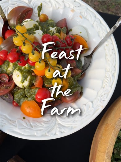 It's time for a Feast at the Farm! This is a glimpse into what we served at our first Outdoor Dining Experience at Dublin Farm. Keep an eye out on our socials to see what we have in store. 📍875 James Currie Rd, Dublin, GA 31021 #outdoordining #farmtotable #outdoorkitchen #retreat #diningexperience