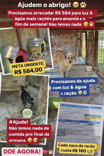 PIX ↪️ 48999996624 titular Monica da Silva candido nos ajudem com qualquer valor 😢🆘🐾