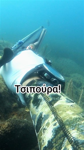 Καρτέρι για Τσιπούρες στα Ρηχά #seabream #ψαροντούφεκο #spearfishinggreece