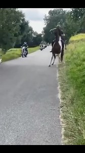 1.7M views · 8.2K reactions | Great support from the bike riders too  With a request from one of our fans: @olivia._showjumper Make sure to follow us @horsesvideosfails for more fails No hate tolerated!! #horselovers #horsefails #horsefail #horseridingfail #horseridingfails #horses #horseofinstagram #jumping #horsejumping | HorseLovers Fails | Facebook