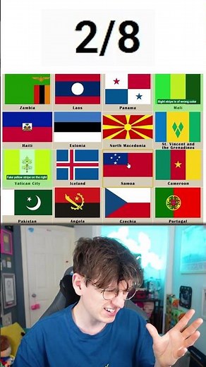 Find the FAKE Flags #shorts