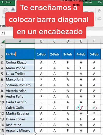 Cómo colocar una barra diagonal en Excel: Tutorial paso a paso